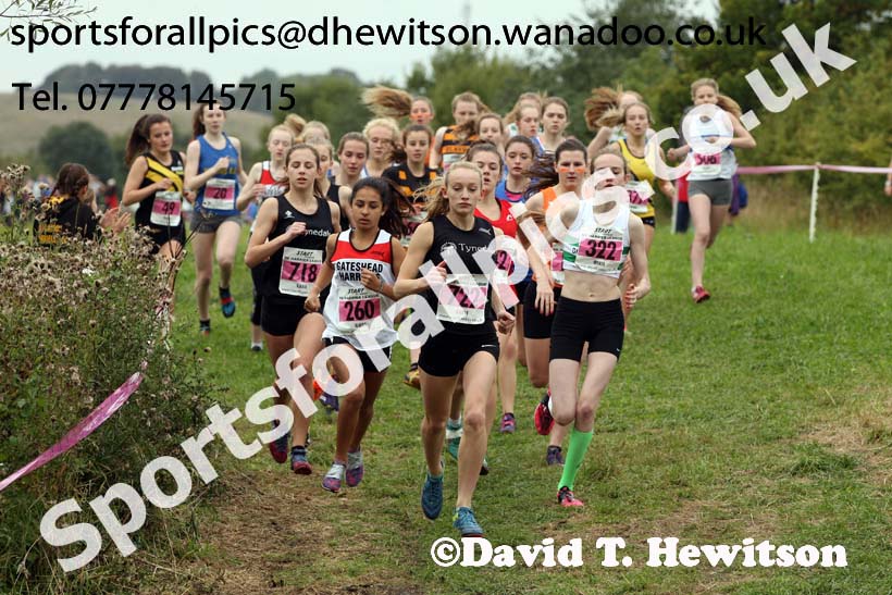 Girls under-15s, Start Fitness North Eastern Harrier League, Tanfield, County Durham. Photo: David T. Hewitson/Sports for All Pics